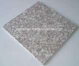 G664 Granite Tile for Wall and Floor