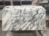 High Quality Natural Stone Arabescato Marble Tile for Dining Room Floor