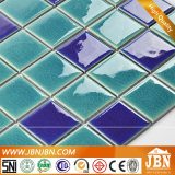 Bathroom and Swimming Pool Wall and Floor Porcelain Mosaic (C648062)