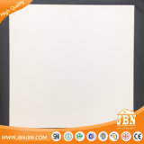 600X600mm 58% Pure White Rustic Porcelain Floor Tile (JC6909)