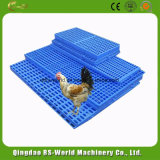 Chicken Farm Plastic Slat Floor