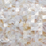 Freshwater Shell Nature Color Mosaic Tile