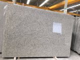 Bala White Granite Polished Tiles&Slabs&Countertop