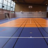 Synthetic PVC Vinyl Sport Flooring for Champion