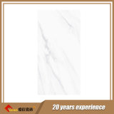 Polished Floor Marble Tile Foshan Supplier with More Than 20 Years Experience (2-6161255)