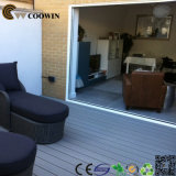 Wood Plastic Composite Floor WPC Outdoor Flooring (TW-02)