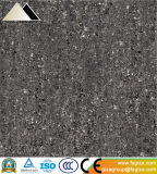 Hot Double Loading Polished Porcelain Tile 600*600mm for Floor and Wall (SP6925T)