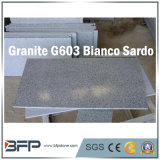 Natural G603 Bianco Sardo Granite for Floor Tile/Slab/Stair/Top