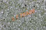 Wear Resistant, Easy Maintenance, Can Be Refurbished Green Color Range Terrazzo Tiles