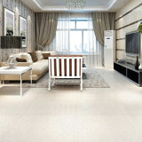 Double Loading Polished Porcelain Tile in Size 1000X1000mm