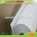 Uncoated Plotter Paper Roll with Low Price