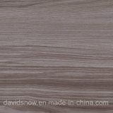 Environment - Friendly PVC Loose Lay Flooring 12 Inch X 24 Inch