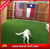 Pet Friendly Synthetic Turf Carpet with Factory Price