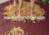 Horse Rubber Mat/Horse Floor Mats/Horse Stall Mats for Sale