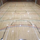 Synthetic Vinyl Sport Flooring for Weight Rooms