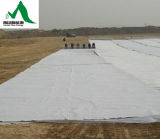 1m~6m Width High Tensile Strength Needle 100% PP Needle Punched Non Woven Geotextile