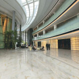 Natural Quite Hotel Floor Tiles with China New Product