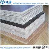 28mm * 1160*2440 Plywood Size for Container Flooring for Sale
