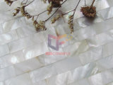 Natural Color Strip Mother of Pearl Mosaic Tile (CFP123)
