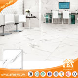 Carrara Blanco, White Matte Porcelain Floor and Wall Tiles (JR6549D)