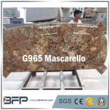 Beautiful Mascarello Granite Slab for Kitchen Adn Island Countertops