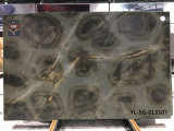 Turtle Illusion Quartzite Polished Tiles&Slabs&Countertop
