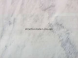 Calacatte White Marble Tile for Slab, Wall/Countertop/Vanity Top