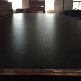 Anti-Slip Shuttering Brown Poplar Film Faced Plywood for Construction Truck Floor 21X1250X2500mm