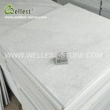 Perfect Swimming Pool Tile and Coping Super White Quarzite