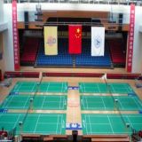 The Professional Manufacturer of PVC Indoor Badminton Flooring