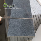Dark Grey Polished Granite Floor Tile with Good Price