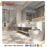 30*60cm Building Material Interior Ceramic Wall Tile for Indoor