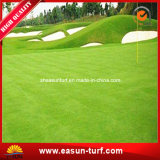 Artificial Golf Grass Putting Green