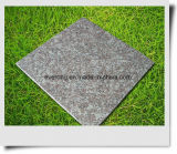 China G664 Misty Red Granite Tile for Wall and Floor