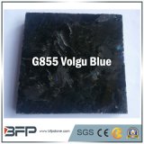 Ukraine Volgu Blue Granite Building Material Cut-to-Size Floor Tile