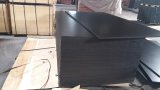 Black Poplar Core Film Faced Shuttering Plywood Lumber (12X1220X2440mm)