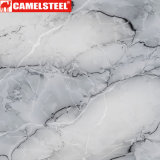 Marble/Flower/Wooden/Brick Pattern Color Coated Galvanized Steel Coil PPGI/PPGL