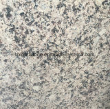 China Popular Colors Polished Granite Tile for Wall and Tile