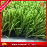 Soccer Field Synthetic Turf Grass for Artificial Grass Garden