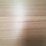 Household/Commercial Solid Blackbutt Hardwood Flooring
