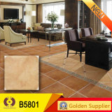500*500mm Building Material Rustic Floor Tile (B5801)