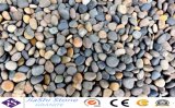Good Quality Natural River Stone with Polished