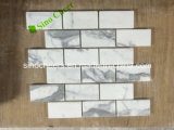 China White Marble Mosaic with Best Price