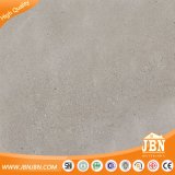 Foshan Rustic Floor Tile with 600X600mm (JF6002D)
