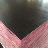 Poplar Core Veneer Black Color Layer Film Faced Plywood (6X1250X2500mm)