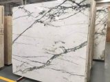 Polished Clivia Green Marble