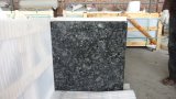 Butterfly Green Granite Slabs&Tiles Granite Flooring&Walling