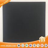 600X600 Super Black Rustic Matt Floor Tile (JT6005D)