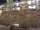 Amazon Green / Brazil High Quality Brown Quartzite Tiles & Slabs
