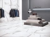 450X900mm Glazed Porcelain Tile Full Body Bianco Carrara
